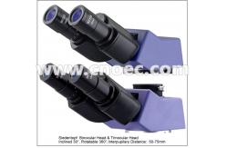 China Binocular Trinocular Upright Metallurgical Microscope A13.2603 A13.2605 supplier