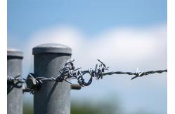 China Use Of Prison Walls Length 200m  Single Strand Hot Dipped Galvanized Barbed Wire supplier