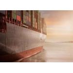 International Logistics FCL Sea Freight , FCL Container Shipping for sale