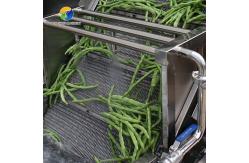 China 4.5KW Fruit And Vegetable Processing Line Vibration Draining Equipment supplier