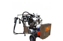 China 220L/Min Portable Milking Machine Two Bucket Electric For Goat supplier