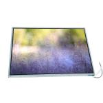 15.0 inch Laptop LCD Display screen NL10276BC30-24D for sale