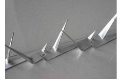 China Barb L64mm Barb Thickness 0.8mm Fence Wall Spikes supplier