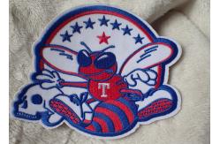 China 3D Washable Custom Embroidery Heat Transfer Patch For Ski-Wear supplier