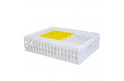 China 8-10 Chickens Poultry Carrier Crate Pp For Transportation supplier
