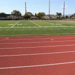 IAAF Synthetic Rubber Tartan Running Track EPDM Granule Playground
