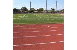 China IAAF Synthetic Rubber Tartan Running Track EPDM Granule Playground supplier