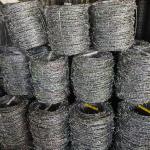Woven SS Wire Mesh Screen Stainless Steel Netting For Industrial Filtering for sale
