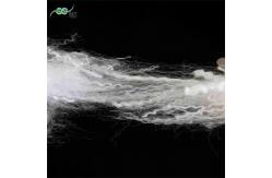 China Virgin Environmental Friendly Hollow Polyester Fiber Lightweight 32mm Microfiber For Quilt supplier