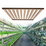 1200w PWM Dimming Samsung Osram LED Horticulture Grow Light