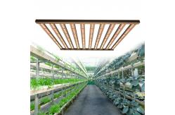 China 1200w PWM Dimming Samsung Osram LED Horticulture Grow Light supplier