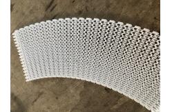 China                  Factory Bread Baking Modular Plastic Conveyor Belt for Food Industry              supplier