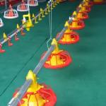 Customized Poultry Chick Line Feeder Broiler House Flooring Tube Chain Conveyor for sale