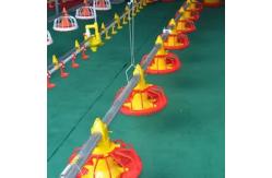 China Customized 110V Pan Feeding System For Broiler Chicken Pan Feeder supplier