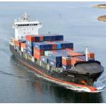 EXW Freight Forwarder Shipping for sale