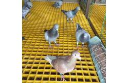 China FRP Moulded Grating Customizable supplier