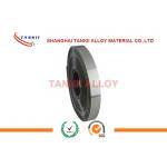 Silver Evanohm Precision Alloy 6J23 Resistance Heat Strip For Precision Resistor