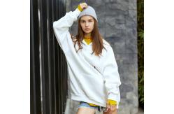 China Custom Logo DIY Plain Pullover Unisex Blank Hoodies Oversized supplier