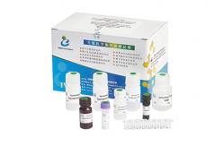 China High Accuracy Male Fertility Test Kit 40T/Kit For Male Infertility Diagnosis supplier