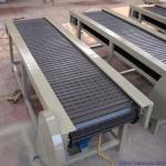                  Custom Incline Belt Conveyor/Lifting Conveyor/Elevating Conveyor              for sale