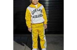 China Children Cropped Hoodies And Sweatpants Set Designer Boys Tracksuits Custom Size supplier