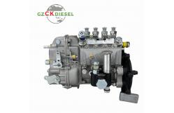 China Fuel Injection Pump 101402-8290 101041-8900 for 4BG1 Engine supplier