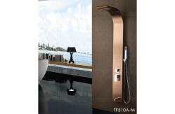 China Shower Panel Wall Mounted Thermostatic Black Spa Rainfall Bath Stainless Steel supplier