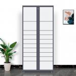 Automated Electronic Storage Locker Parcel Delivery Locker For Post Express for sale