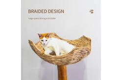 China Cat Tree Unique Design Natural Wood Cat Tower Easy Climbing Small  cat supplier