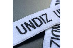 China Customized Silicone Printing Nylon Elastic Band Non Slip Webbing supplier