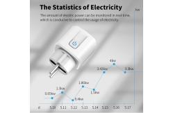 China Plastic Smart Socket Plug with Max Current 10A-16A and Timer Function supplier