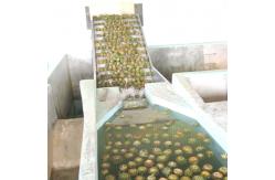 China Automatic 380V Mango Processing Line Industrial Juice Making Machine supplier