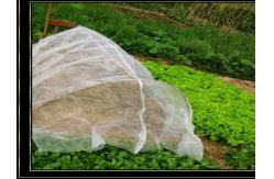 China White UV Resistant Insect Netting 30m 50m 100m For Gardens Farms Greenhouse supplier
