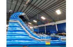 China Adult Kids Playground Bouncer Inflatable Water Slide With Pool supplier