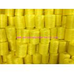 UV Stabilized Polypropylene Tomato Trellis Twine For Shade Net House