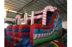 China Outdoor And Indoor Circus Inflatable Dry Slide Silk Screen Printing supplier
