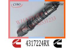China Diesel Engine Fuel Injector 4317224RX 4317224 For Cummins QSK45 QSK60 Engine supplier