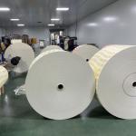Packaging Customized Printing Single/Double PLA Logo Coated Printed Paper Cup Roll