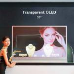 Beauty Shops Transparent OLED Touch Screen / 55 Android Advertising Displays for sale