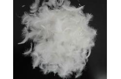 China Feather and Down, Dcuk and Goose Products supplier