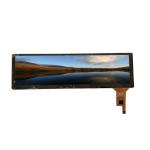 8.8 inch LCD panel HSD088IPW1-A00 support 1920*480(RGB) 222PPI  600cd/m lvds input  60Hz  LCD screen for sale