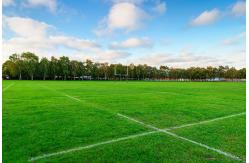 China SGS Approved Plastic 9000 Dtex Artificial Turf Grass Eco-Friendly supplier