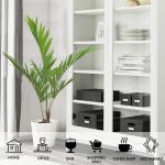 Eco Friendly Artificial Kenita Palm Tree Outdoor Decoration for sale