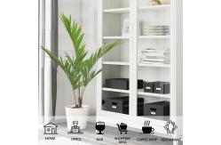 China Eco Friendly Artificial Kenita Palm Tree Outdoor Decoration supplier