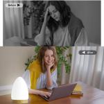 Adjustable Brightness Sunlight Therapy Lamp 2700K 4000K 6000K Desktop Sad Lamp With Remote for sale