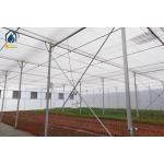 Polythene Film Horticulture Multi Span Greenhouse With Climate Control System