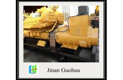 China 12V190 Biogas Power Generator Customization Customized Request 500kw Biogas Generator supplier