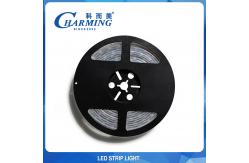China Multiscene flexible LED RGB Rope Light Strip length 500cm SPI Control supplier