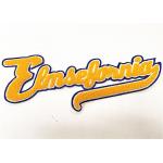 Yellow Word Iron On Chenille Patches Chenille Back Patch For Sweater