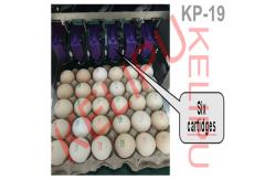 China Eggs Date Coding Machine With Six 45ml Cartridges Each Can Print 20000 Eggs supplier